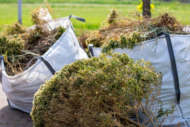 Basement Cleanout Services in Louisville, KY