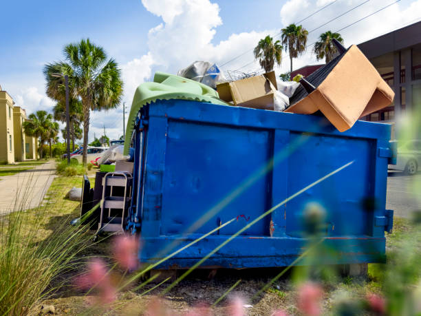 Yard Cleanup Services in Louisville, KY